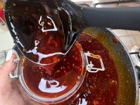 crunchy chilli oil