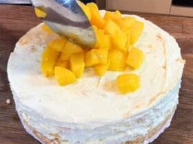 mango cheesecake recipe