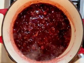 Cranberry Sauce in pot