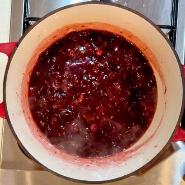 Cranberry Sauce Cranberry Sauce in pot