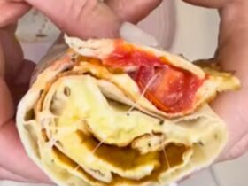Tortilla Omelette wrapped