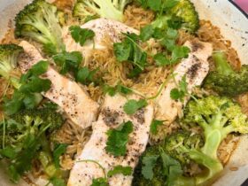 Salmon and Rice served in dish